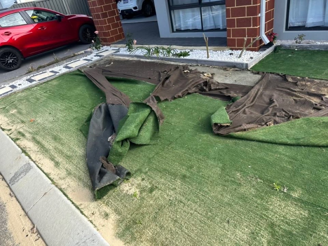 Old failed artificial turf peeled back to expose the brown underlay.