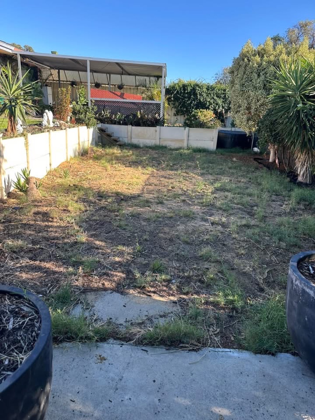 A long, tired backyard with patchy dead grass and weeds.