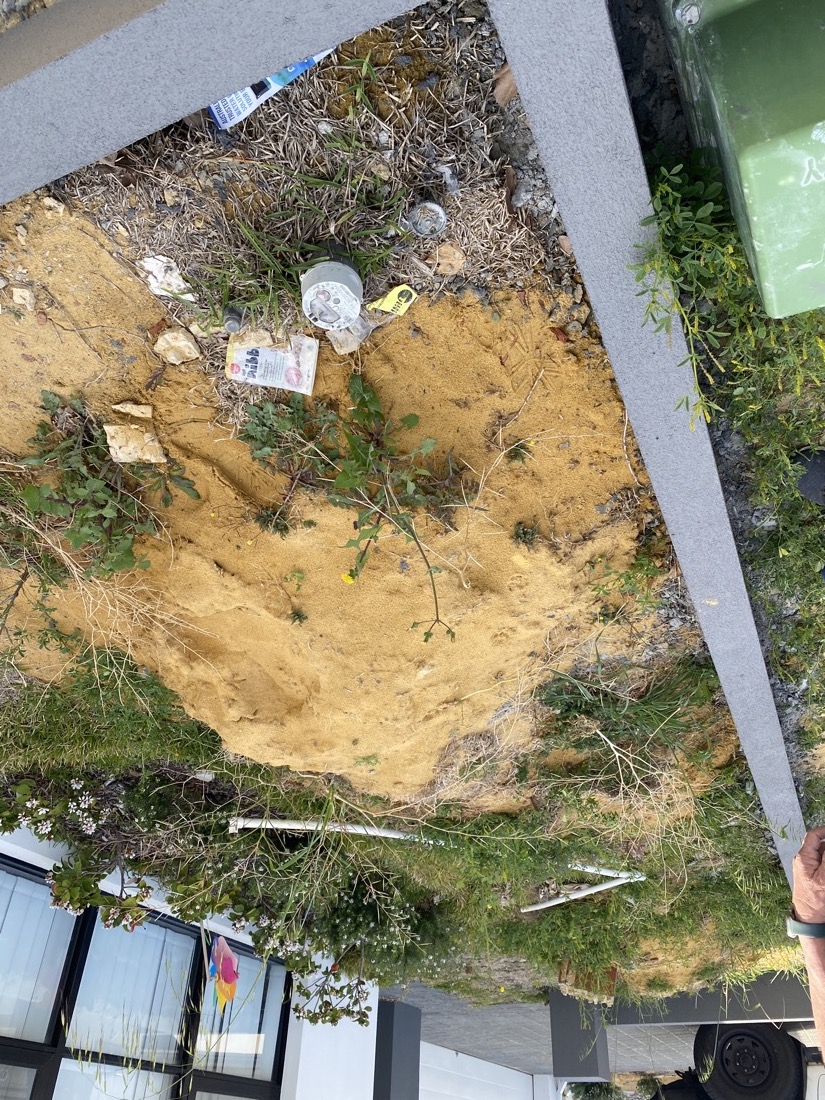 Sandy, weedy side return with rubble and loose plants.